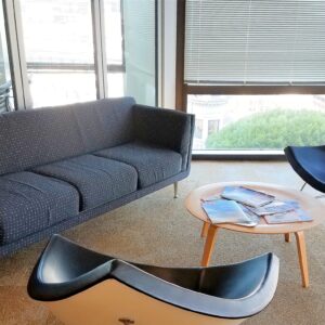 Goetz Sofa, by Herman Miller