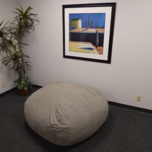 Lovesac, Citysac