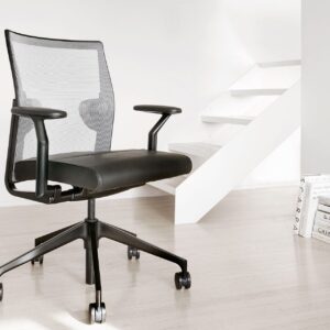 Stylex, Sava Mesh Back
