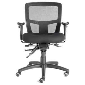 Friant classic zone task chair