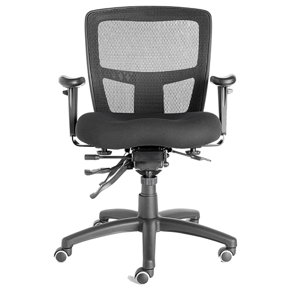 Friant classic zone task chair