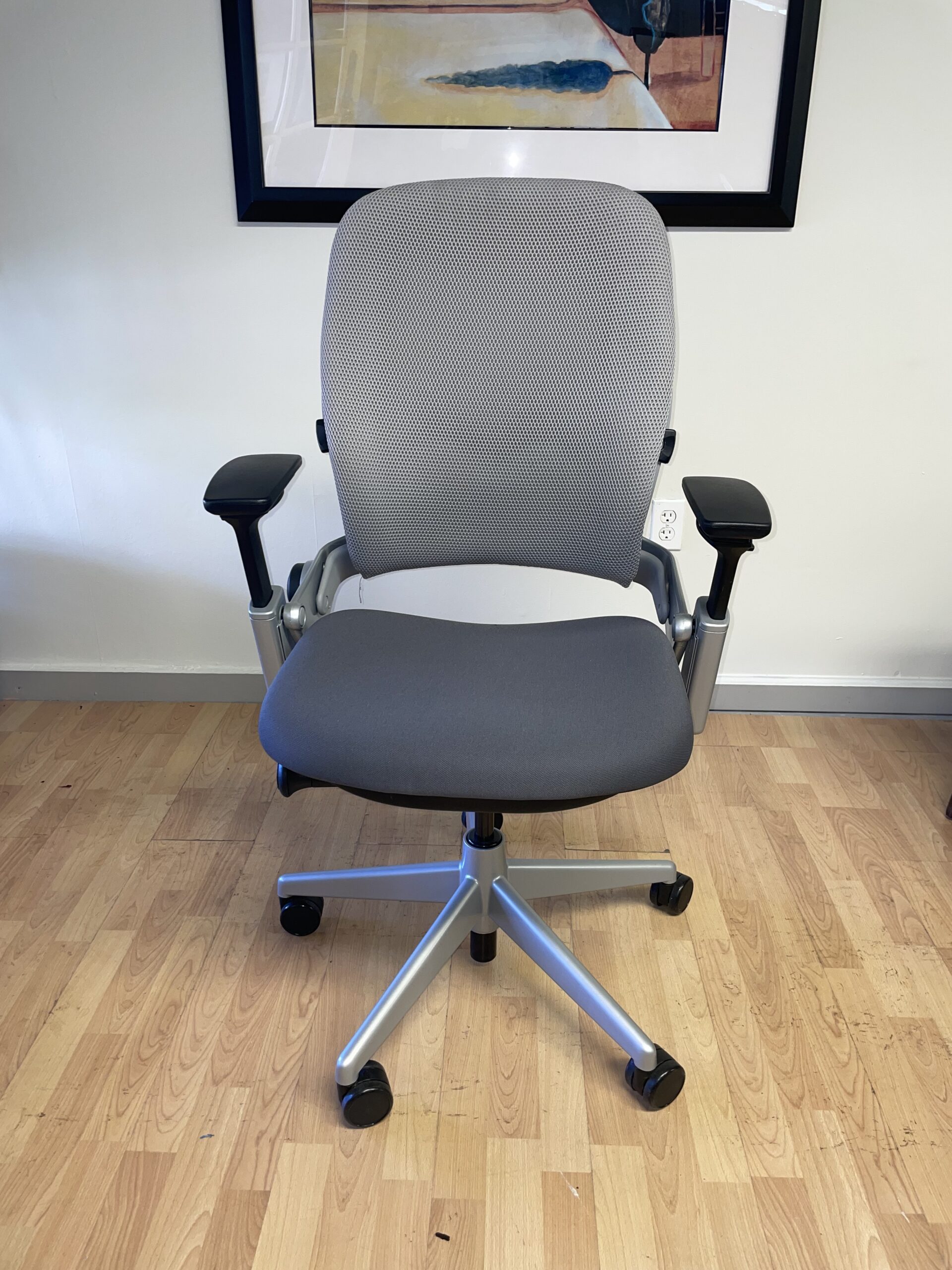 Steelcase, Leap V2, Silver Frame, Task Chair